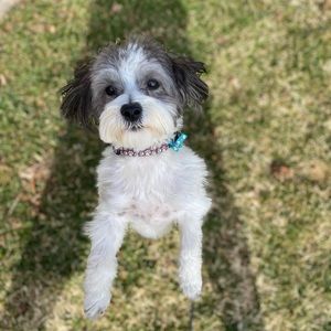 Meet your Posher, Kendall